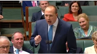 Point of order on weirdness: Peter Dutton's 'amazing story' interrupted by Anthony Albanese