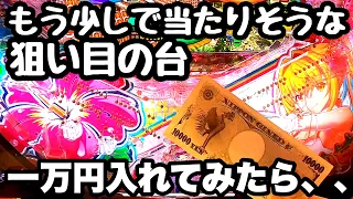 もう少しで当たりそうな狙い目の甘い沖海に一万円入れてみたら、、【PAスーパー海物語 IN 沖縄5 with アイマリン】