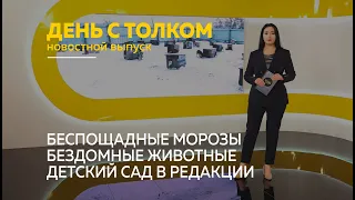 «День с Толком». 28.11.2022