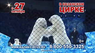 Цирк на льду в Казани