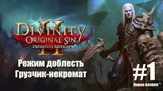 Divinity Original Sin2 прохождение двумя персонажами на сложности Тактика