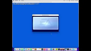 Install The Sims 1 on macOS x64 and M1/2 with Widescreen Patch