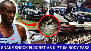 UCHAWI: Eldoret Town Shocked By A Big Snake As Kelvin Kiptum's Body Passed Through The Streets