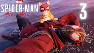 В поисках кота-паука-3-Marvel's Spider-Man: Miles Morales