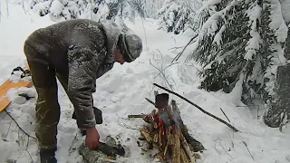 С ЛАЙКАМИ НА КУНИЦУ .10 .01.2019 Г.удачно!!!