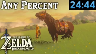 BotW Any% 24:44 [Former WR]