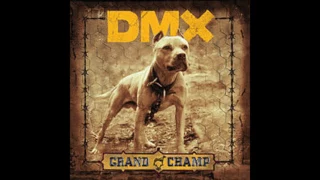 DMX Where The Hood At (clean)