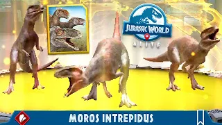 NEW EPIC FLOCK MOROS INTREPIDUS UNLOCKED!!! (JURASSIC WORLD ALIVE)