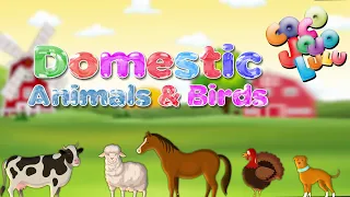 પાળતું જાનવર અને પક્ષિયોં | DOMESTIC ANIMALS GUJARATI