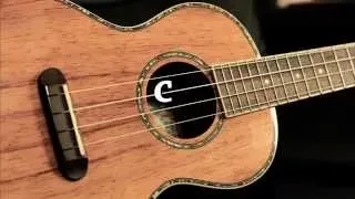 AFINADOR UKULELE - TUNER ( G C E A )