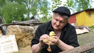 Андрей Гражданкин - «Деревня» (Official Video, 2023)