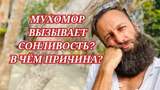 МУХОМОР🍄 ЗАСТАВИТ ТЕБЯ ВЫСПАТЬСЯ! ПОЧЕМУ ХОЧЕТЬСЯ СПАТЬ ВО ВРЕМЯ МИКРОДОЗИНГА?