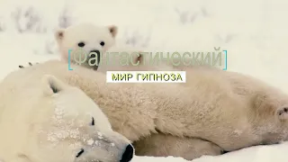 Был Ли Иисус на САМОМ деле пророком и что стояло за этим !? 🤔