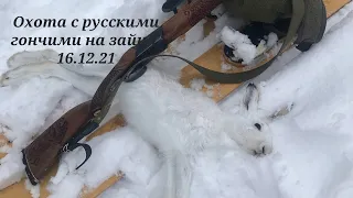 охота с русскими гончими на зайца. Удачная охота .16 .12. 21