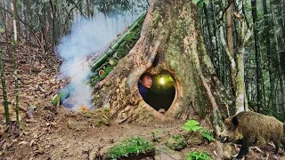 Build a shelter under a giant tree that has existed for hundreds of years,Great survival shelter.