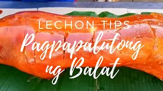 Paano palutungin ang balat ng Lechon?