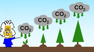 Klimaziel Netto-Null: Wie Wald und Ozeane dabei helfen. | #36 Energie und Klima