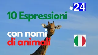 10 espressioni con animali (#EspressioniItaliane)