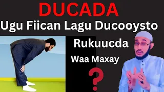 Nabiga (SCW), Markuu Rukuucsan Yahay Maxuu Ku DUCOOYSAN Jiray (37::: Dr Ahmed Al-Yamaani