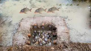 Top 5 video 2022 Amazing Man Make 5 Fish Trap Crab Trap & Eel Trap in Cambodia