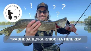 Травнева Щука клює на ПІЛЬКЕР?! частина - 1