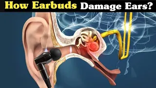 How earbuds damage our ears | Are earphones harmful