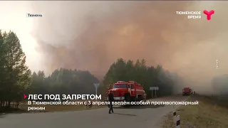 В Тюменской области с 3 апреля введён особый противопожарный режим