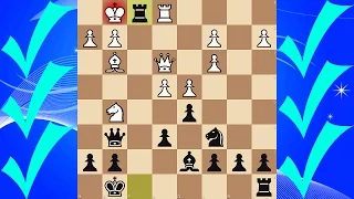 Three-check Speed Chess Tournament [201]