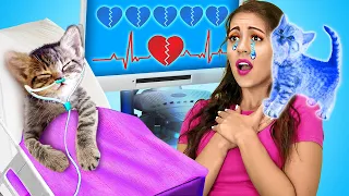 🙀🆘 Save This Tiny Cat! Secret Hacks & Gadgets for Pet Owners by La La life