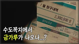 원룸 수도요금이 230만원? [영화리뷰/결말포함]