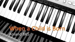 Roland BK5 - When a Child is Born - Instrumental