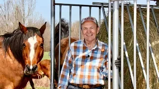 #33 Best Horse Hay Feeder Ever | At The Ranch