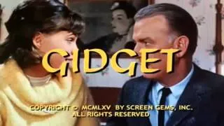 Gidget Theme Song (show open).avi