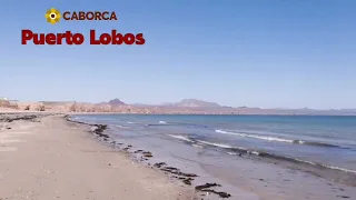Puerto Lobos Caborca, Sonora México.