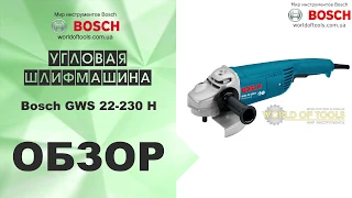 Шлифмашина Bosch GWS 22-230 H