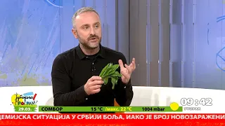 JUTARNJI PROGRAM - Sremuš „ubica“ otrova u organizmu