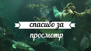 "Шоу русалок" в самом удаленном от морей океанариуме мира.Океанариум Нурсултан.Думан.