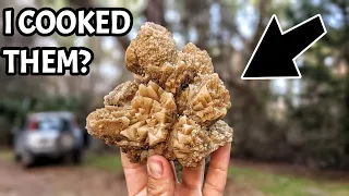 I COOKED Calcite Crystals in the Oven? WATCH THIS Video to See What Happened!