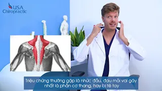 THOÁI HÓA ĐỐT SỐNG CỔ - ÁM ẢNH CỦA DÂN VĂN PHÒNG