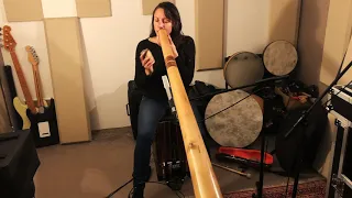 punchy track Didgeridoo