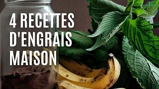 4 ENGRAIS GRATUITS (FAIT MAISON)