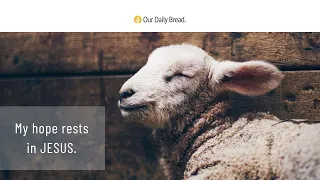 The Rest of Our Story | Audio Reading | Our Daily Bread Devotional | January 12, 2023