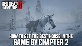 Red Dead Redemption 2 - How To Get The Best Horse In The Game By Chapter 2 (White Arabian)