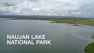 Our Fragile Earth S2E5 Naujan Lake National Park and Maulawin Spring Protected Landscape