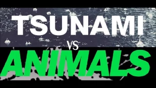 Martin Garrix Animals Vs Tsunami (feat. Super Mix Electronix Remix)