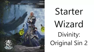 ✅ Basic Starter Wizard in Divinity: Original Sin 2