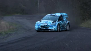 2017 Ford Fiesta WRC