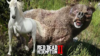 CORRIDA DE CAVALOS e encontro com o URSO LENDÁRIO - Red Dead Redemption 2 - O DOMADOR DE CAVALOS