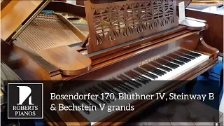 Bosendorfer 170, Bluthner IV, Steinway B & Bechstein V grands