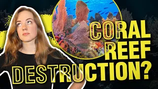 What's Harming Coral Reefs?